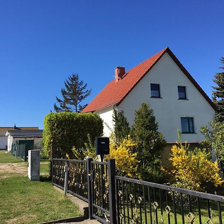 Ferienwohnung Chihuahua Thiessow Luaran gambar